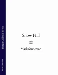 Mark Sanderson - Snow Hill