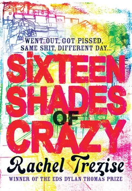 Rachel Trezise Sixteen Shades of Crazy обложка книги