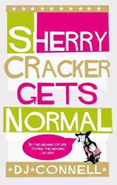 D. Connell Sherry Cracker Gets Normal обложка книги