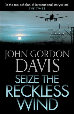 John Davis Seize the Reckless Wind обложка книги