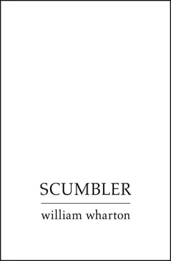 William Wharton Scumbler обложка книги