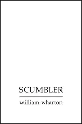 William Wharton - Scumbler