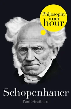 Paul Strathern Schopenhauer: Philosophy in an Hour обложка книги