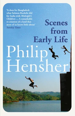 Philip Hensher Scenes from Early Life обложка книги
