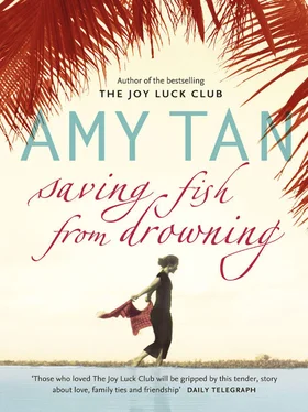 Amy Tan Saving Fish From Drowning обложка книги