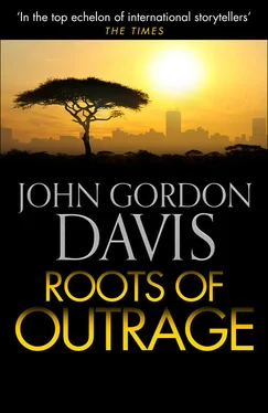 John Davis Roots of Outrage обложка книги