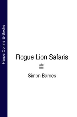 Simon Barnes Rogue Lion Safaris обложка книги