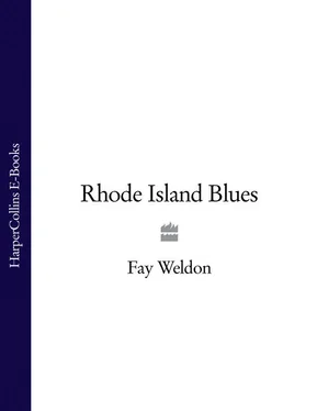 Fay Weldon Rhode Island Blues обложка книги