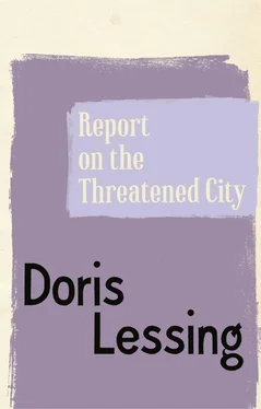 Doris Lessing Report on the Threatened City обложка книги