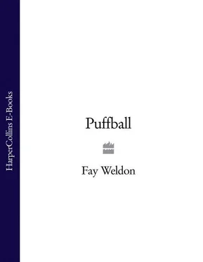 Fay Weldon Puffball обложка книги