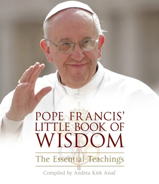 Andrea Assaf Pope Francis’ Little Book of Wisdom обложка книги