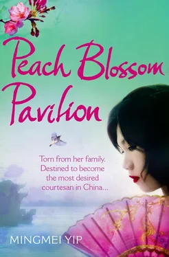 Mingmei Yip Peach Blossom Pavilion обложка книги