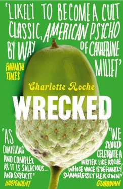 Charlotte Roche Wrecked обложка книги