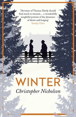 Christopher Nicholson Winter обложка книги