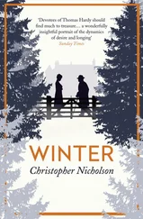 Christopher Nicholson - Winter