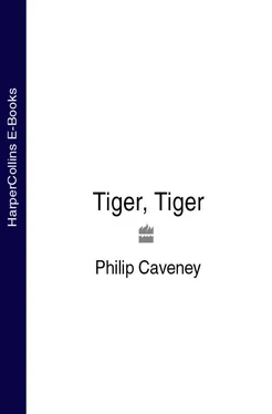 Philip Caveney Tiger, Tiger обложка книги