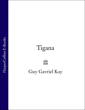 Guy Gavriel Kay Tigana обложка книги