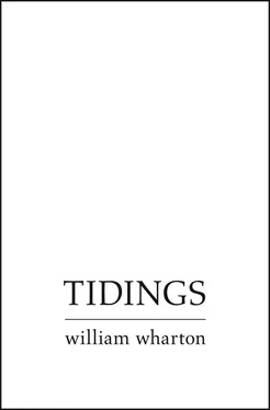 William Wharton Tidings обложка книги