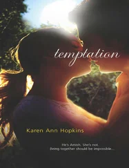 Karen Hopkins - Temptation