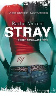 Rachel Vincent Stray обложка книги