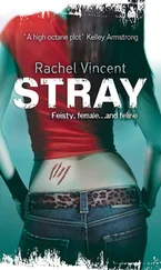Rachel Vincent - Stray