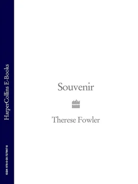 Therese Fowler Souvenir обложка книги