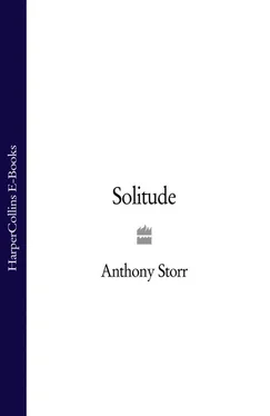 Anthony Storr Solitude обложка книги