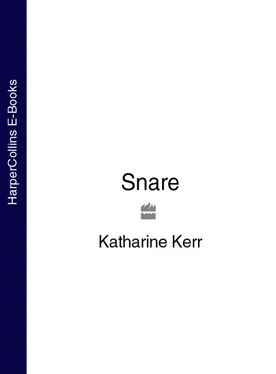 Katharine Kerr Snare обложка книги