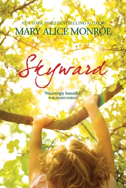 Mary Alice Monroe Skyward обложка книги