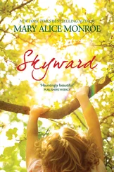 Mary Alice Monroe - Skyward