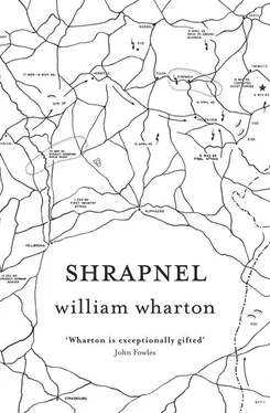 William Wharton Shrapnel обложка книги