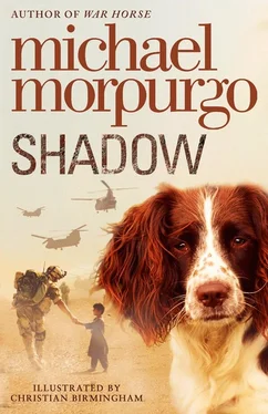 Michael Morpurgo Shadow обложка книги