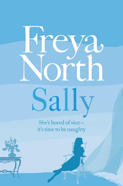 Freya North Sally обложка книги