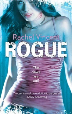 Rachel Vincent Rogue обложка книги