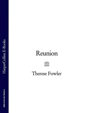 Therese Fowler Reunion обложка книги