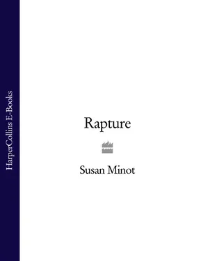 Susan Minot Rapture обложка книги