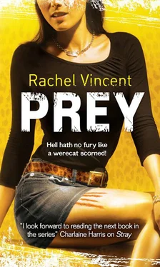 Rachel Vincent Prey обложка книги