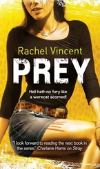 Rachel Vincent - Prey
