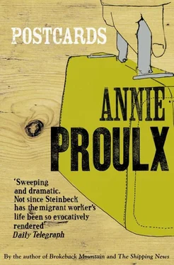 Annie Proulx Postcards обложка книги