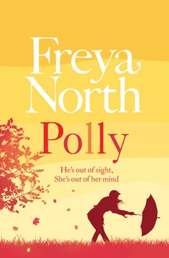 Freya North Polly обложка книги