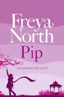 Freya North Pip обложка книги