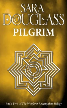 Sara Douglass Pilgrim обложка книги