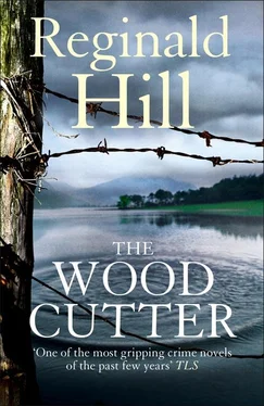 Reginald Hill The Woodcutter обложка книги