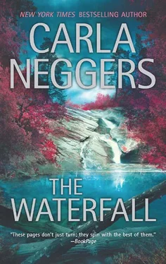 Carla Neggers The Waterfall обложка книги