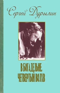 Сергей Дурылин В богадельне. Четвертый волхв обложка книги