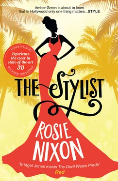 Rosie Nixon The Stylist обложка книги