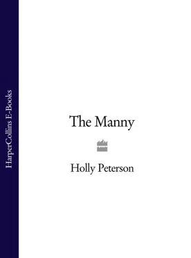 Holly Peterson The Manny обложка книги