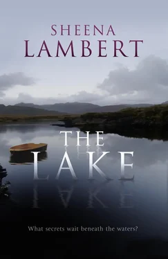 Sheena Lambert The Lake обложка книги