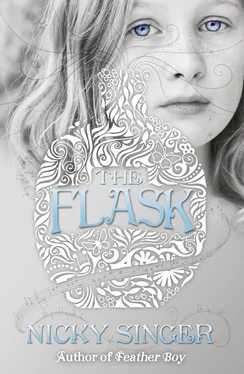 Nicky Singer The Flask обложка книги