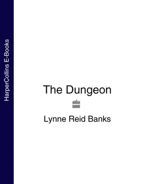 Lynne Banks The Dungeon обложка книги